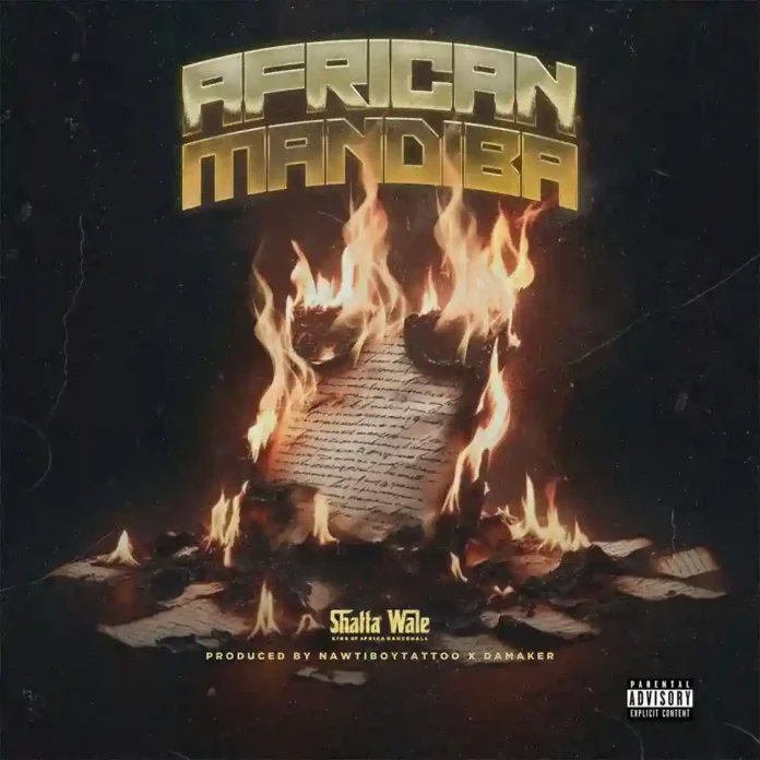 SHATTA WALE - African Mandiba