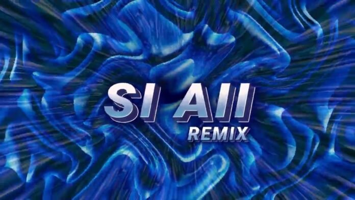 DANON3 BEATZ – SI AII (REMIX) | 2 MIN DE CUYUYU