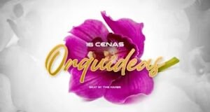 16 Cenas – Orquideas 16 Cenas – Orquideas
