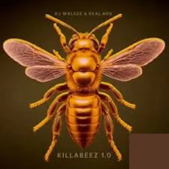 Dj Walgee – KILLABEEZ 2.0 ft Real Nox