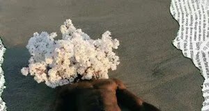 Isizweat x The Lowkeys x Prince Kaybee – Nguwe Isizweat x The Lowkeys x Prince Kaybee – Nguwe