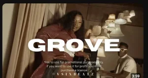 Makhadzi – Grove ft Mr Bow,Shandesh & Janesh Makhadzi – Grove ft Mr Bow,Shandesh & Janesh