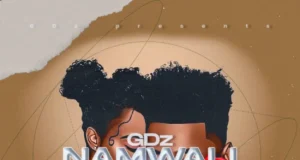GDz – Namwali (Prod. Empireebeat) GDz - Namwali (Prod. Empireebeat)