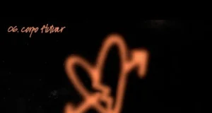 Orochi – Corpo Flutuar (ft. Kizzy & RUXN) Orochi – Corpo Flutuar (ft. Kizzy & RUXN)