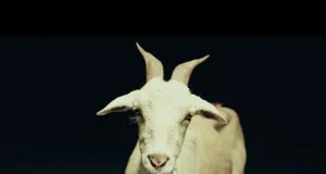 Hernâni – Bleat Hernâni - Bleat