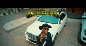 Mendys – Chocastanha “TPC” Mendys - Chocastanha "TPC"