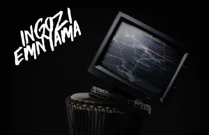 Nandipha808 – INGOZI EMNYAMA (Album) Nandipha808 – INGOZI EMNYAMA (Album)