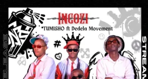 Tumisho – Ingozi (feat. Dedela Movement) Tumisho – Ingozi (feat. Dedela Movement)