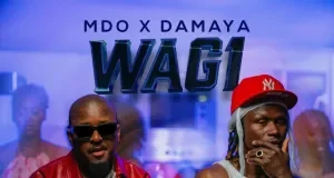 MDO (Menino de Ouro) x Damaya – Wag1 MDO (Menino de Ouro) x Damaya – Wag1