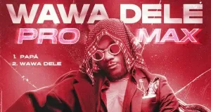 Twenty Fingers – Papá Twenty Fingers – Wawa Dele Pro Max (EP)