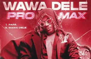 Twenty Fingers – Wawa Dele Pro Max (EP) Twenty Fingers – Wawa Dele Pro Max (EP)